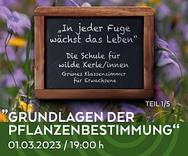 Banner Grünes Klassenzimmer "Hochsommer (Kräutersegen und Himmelfahrt)"