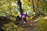 Logo Abenteuer Wald