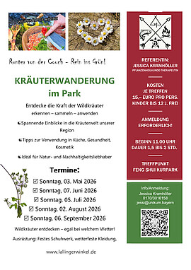 Banner Kräuterwanderung im Park