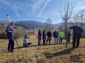 Banner Modul 10 - Ausbildung Streuobstwiesenberater: Sortenwahl und Sortenkunde