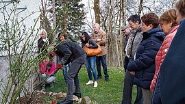 Banner Rosenschnittkurs