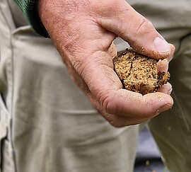 Banner Gesunde Böden - Grundlage für vitale Streuobstwiesen; Bodenansprache mit dem Bodenkoffer