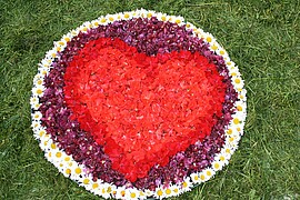 Banner Wocheninfo KW 49