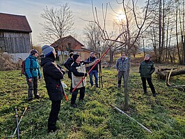 Banner Fachgerechter Obstbaumschnitt - Praxistag für Fortgeschrittene
