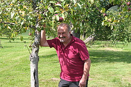 Banner Mostereiseminar